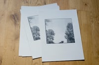 Sic Semper Tyrannosauros