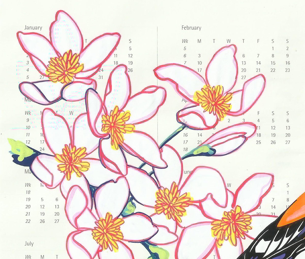 Image of Hoopoe and Clematis