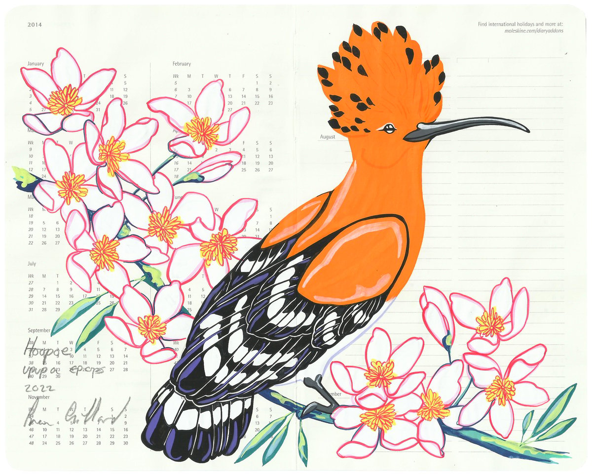 Image of Hoopoe and Clematis