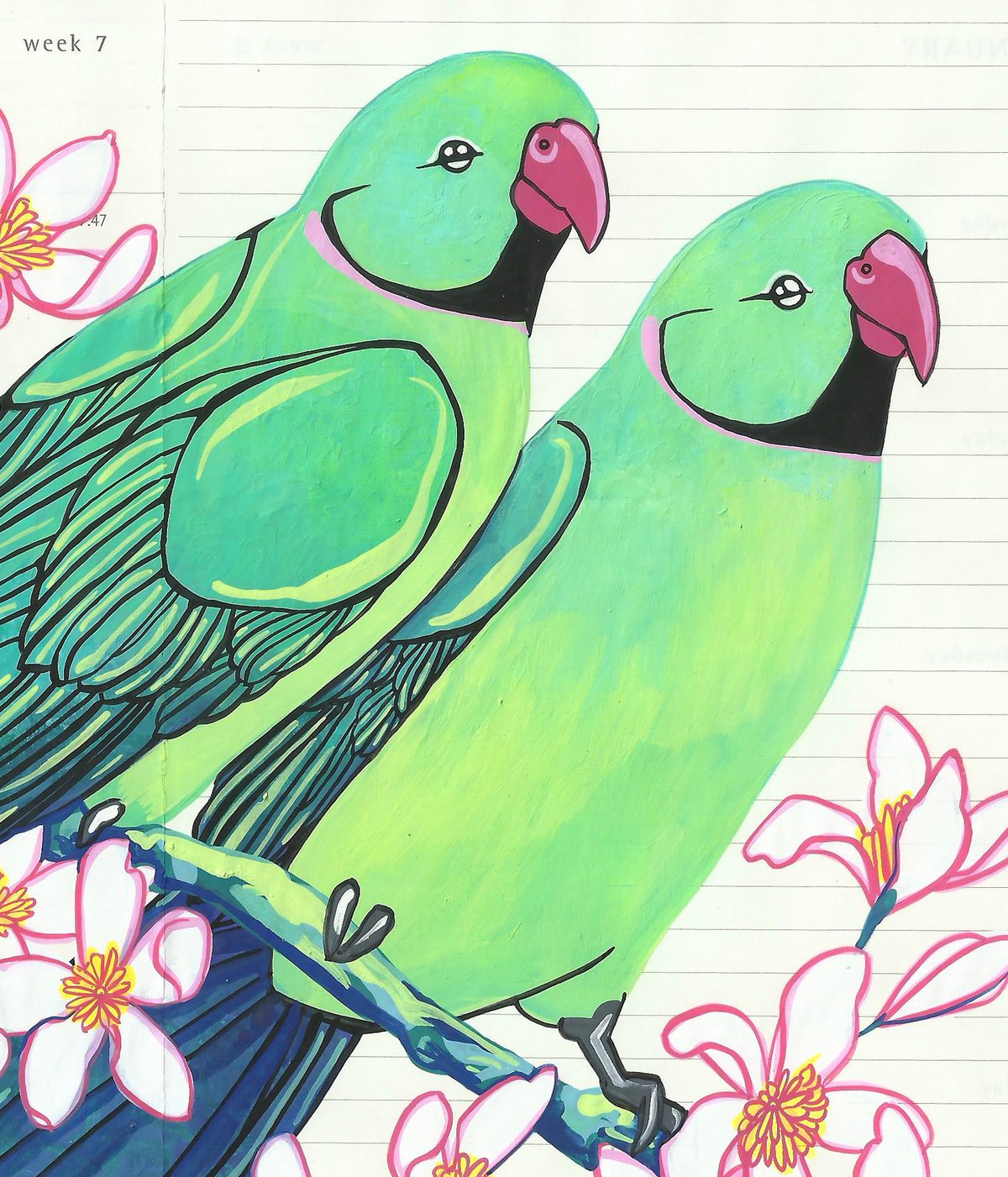 Image of Rose Ringed Parakeet and Clematis