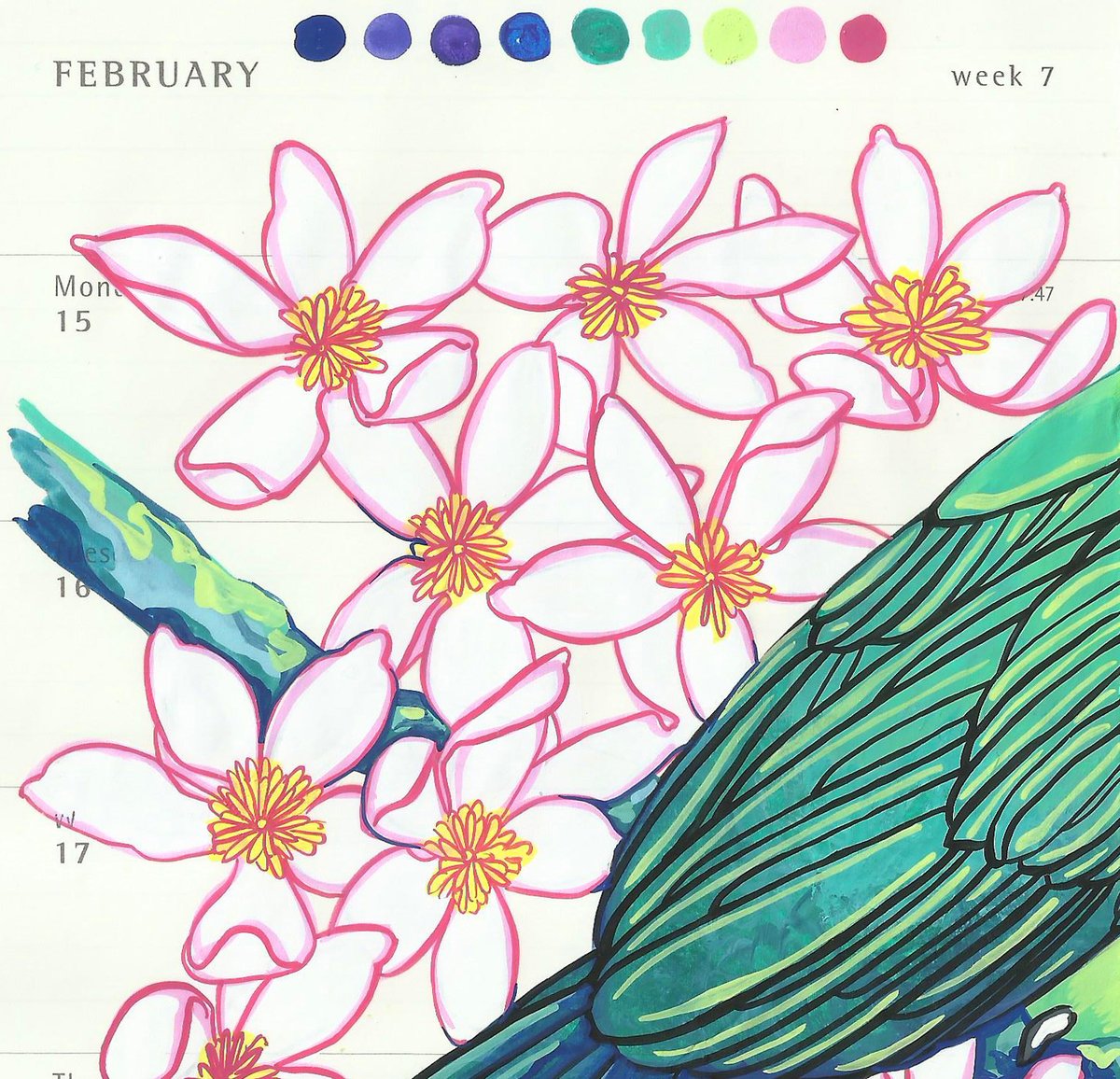 Image of Rose Ringed Parakeet and Clematis