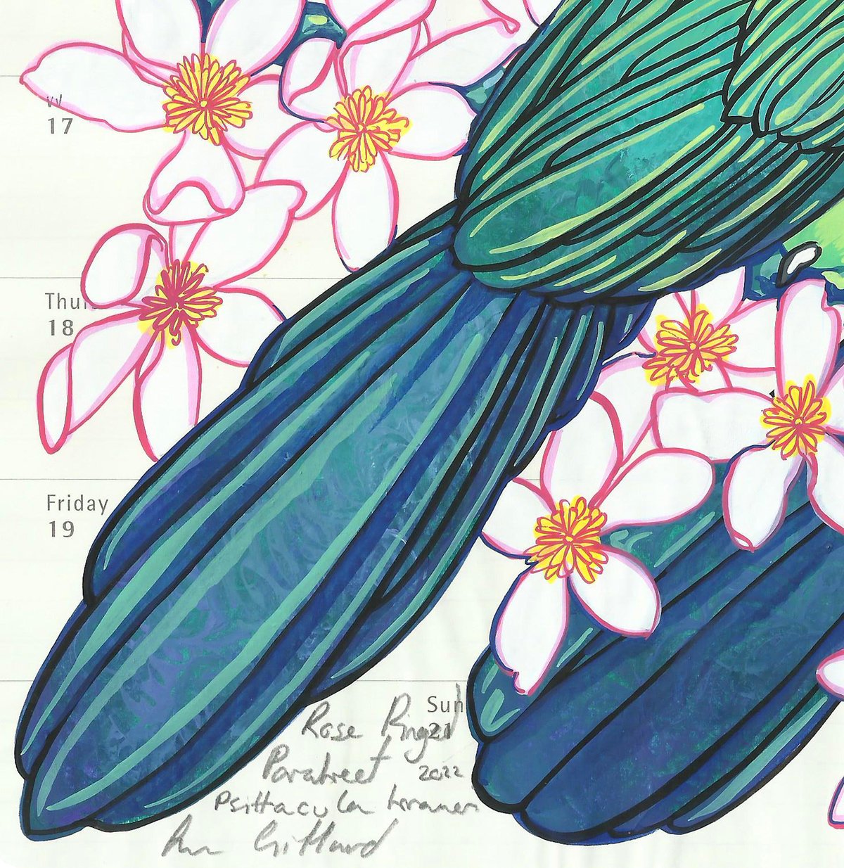 Image of Rose Ringed Parakeet and Clematis