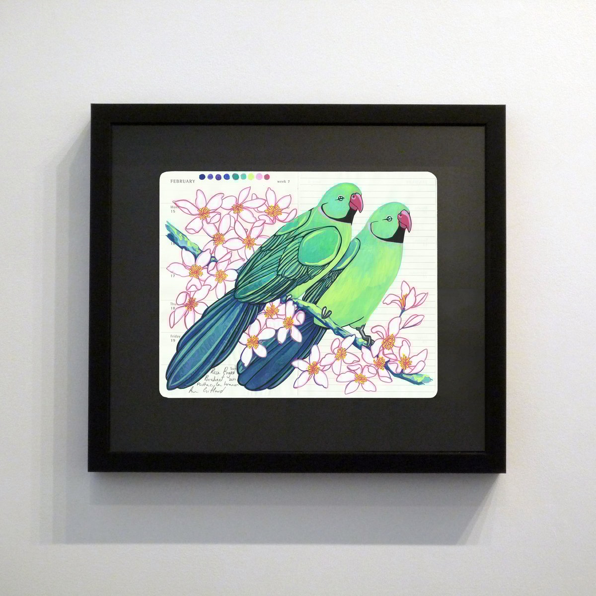 Image of Rose Ringed Parakeet and Clematis