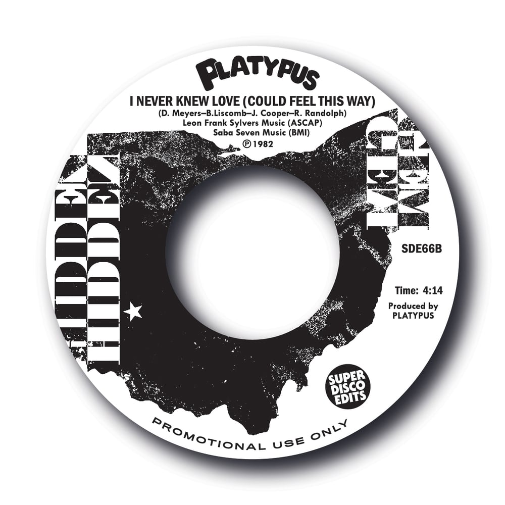 Platypus "I Like Your Loving" Promo 45rpm Hidden Secret