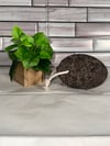 Pumice Stone