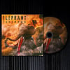 Duck and Cover CD