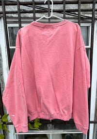 Image 2 of JOYCO over pink