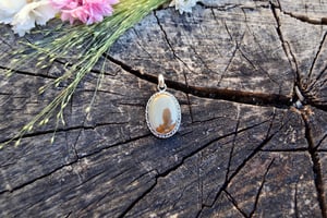 Image of Desert Pendent