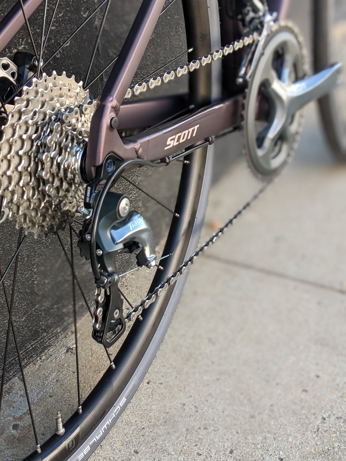 Scott Contessa Speedster 15 | Victory Bicycle Studio