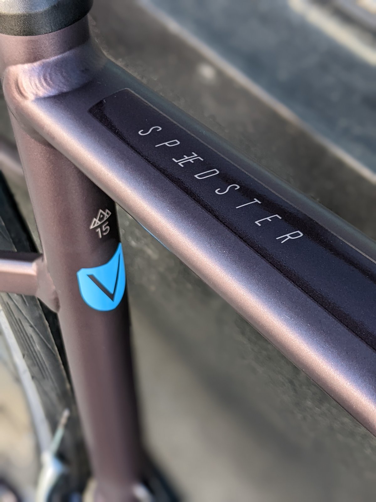 Scott Contessa Speedster 15 | Victory Bicycle Studio