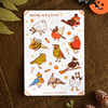 Spooky Scary Birds sticker sheet