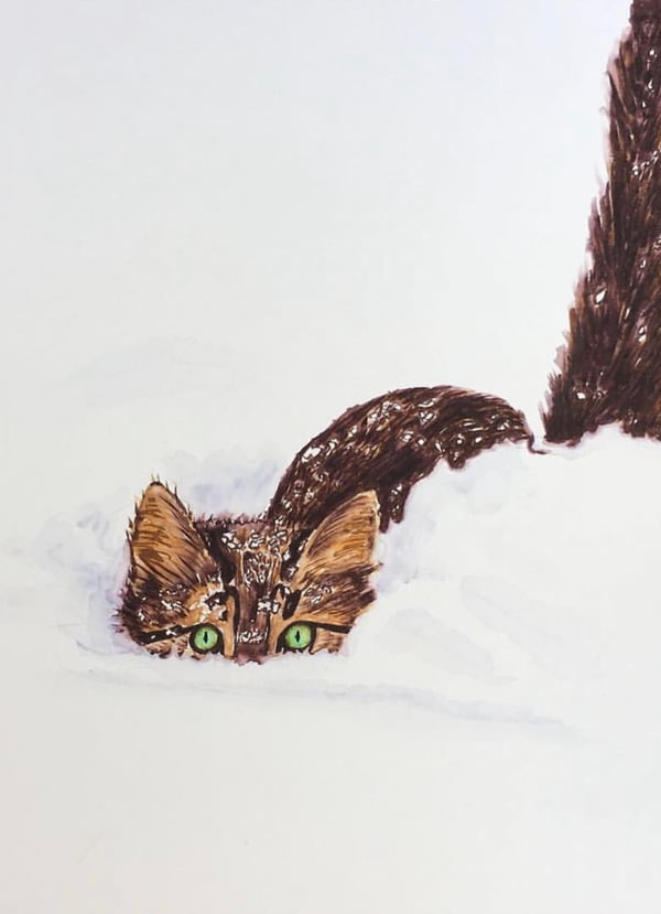 Image of Snow Kitty