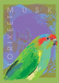 Musk Lorikeet Jigsaw Puzzle