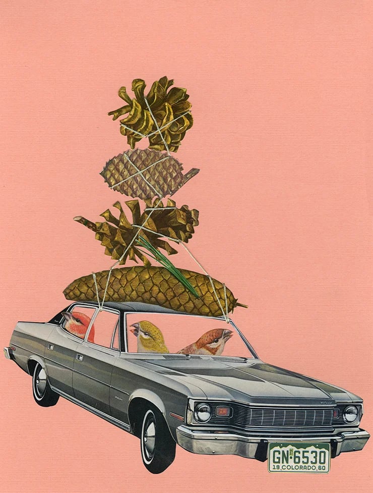 Image of The joy of collecting pine cones is grossly underrated.  Limited edition collage print.
