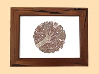 Image 2 of We are nature - A3 Print