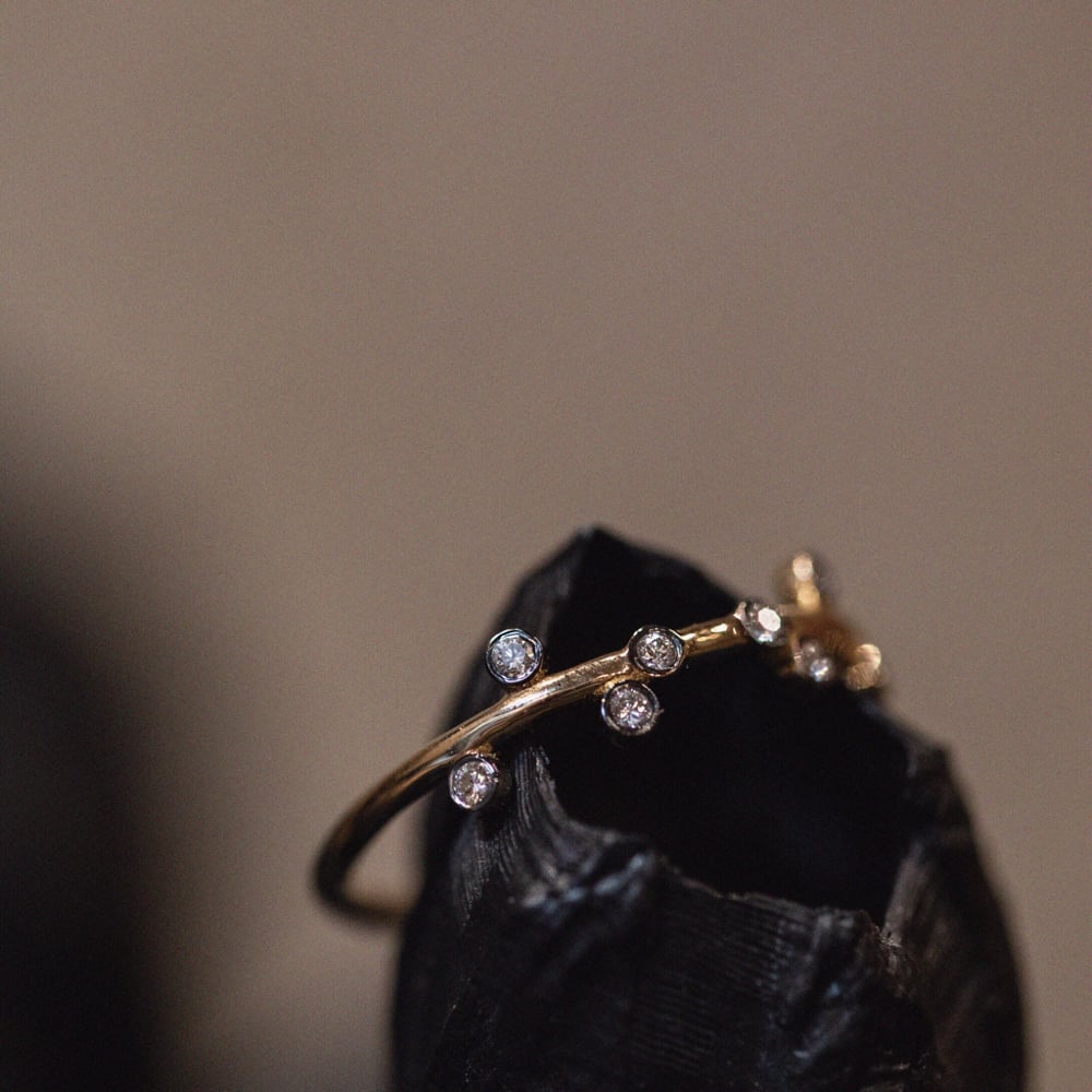 Image of BAGUE CHARNIÈRES FLEURS SAUVAGES.