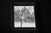 Niseko Window