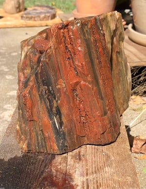 Image of Petrified wood - variety chunk 10 lb 1 oz