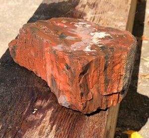 Image of Petrified wood - rainbow chunk 3 lb 3.1 oz