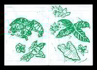 Image 4 of June Drawings