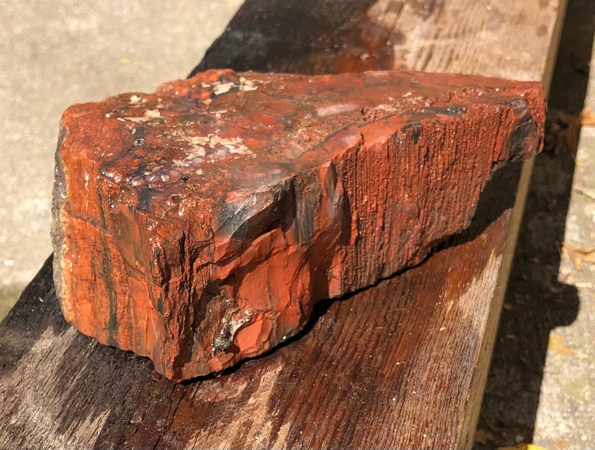 Image of Petrified wood - rainbow chunk 3 lb 3.1 oz