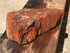 Petrified wood - rainbow chunk 3 lb 3.1 oz