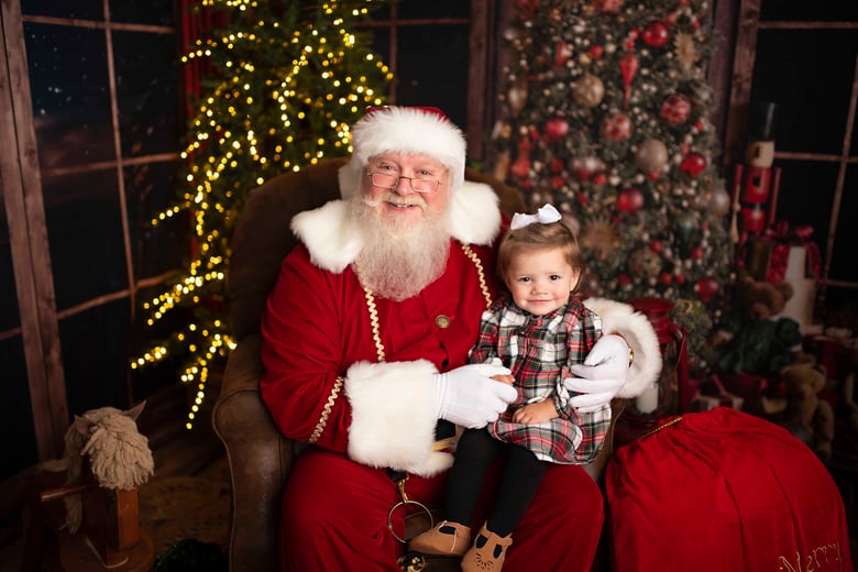 Image of Santa Portrait Experience