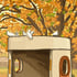 Watson, Knox Street Shelter 3168 Image 4