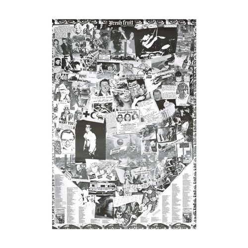 Image of <h4>DEAD KENNEDYS</h4><h5>Fresh Fruit For Rotting Veg LP</h5><h6>Black Vinyl</h6>