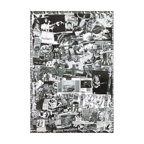 Image of <h4>DEAD KENNEDYS</h4><h5>Fresh Fruit For Rotting Veg LP</h5><h6>Black Vinyl</h6>