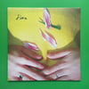 Rosehip Teahouse - Fine