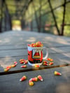 Boston Halloween mug