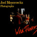 Image of (Joel Meyerowitz) (Wild Flowers)