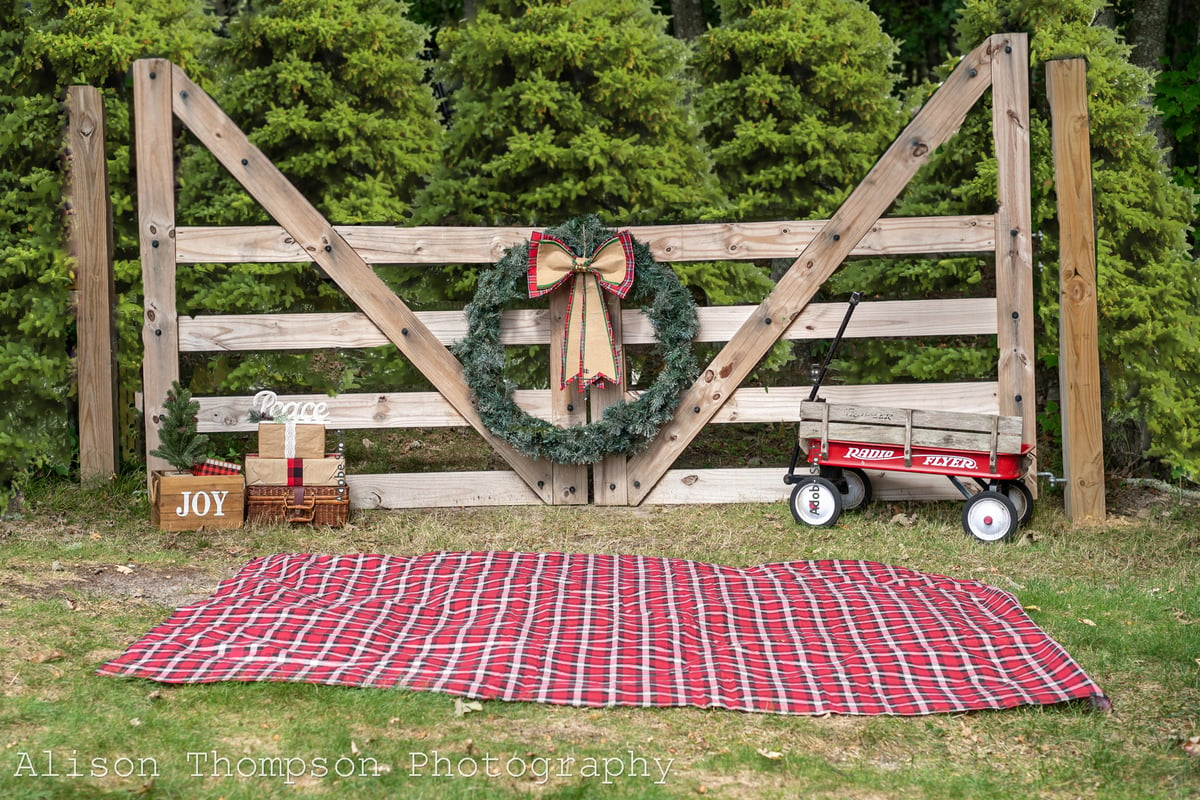 Image of Rustic Gate Holiday Mini Sessions on Friday 11/11