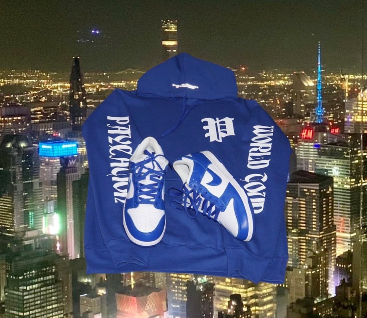 Image of PAYCATION 🅿️ HOODIE