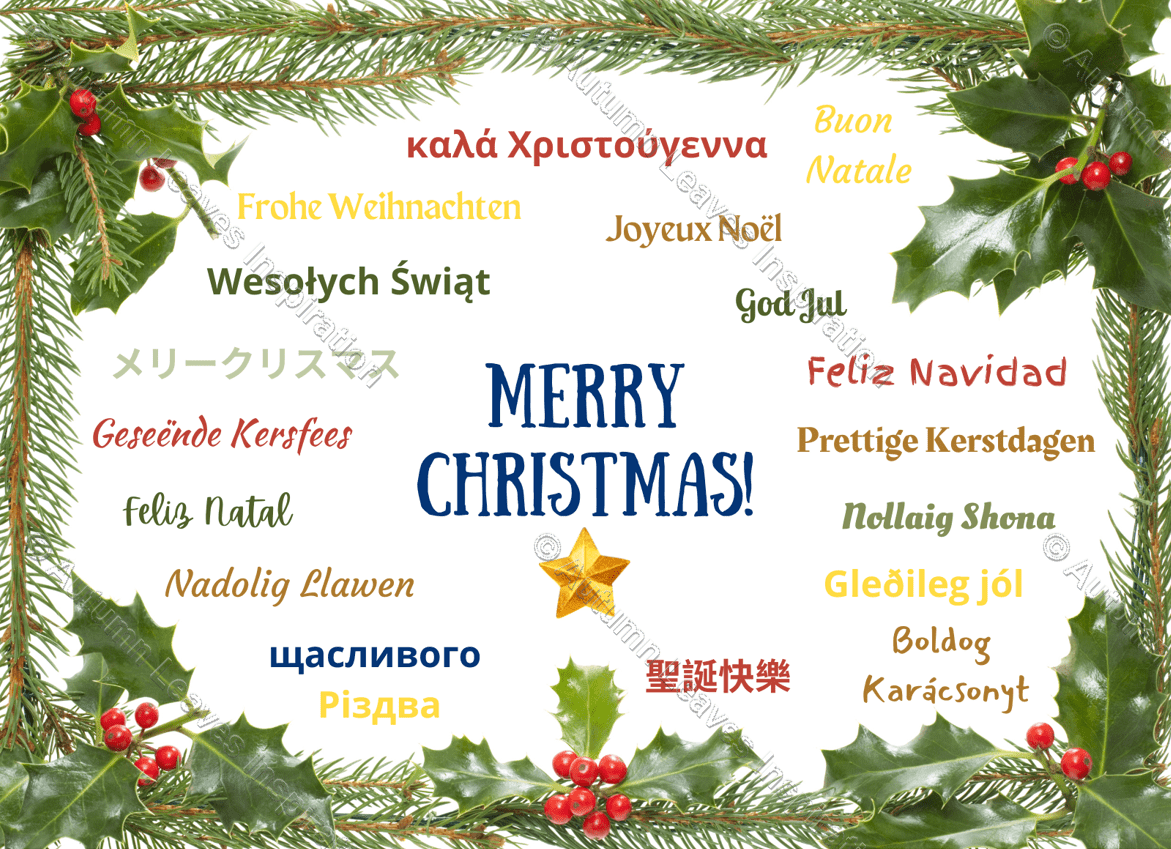 Image of C28 Merry Christmas Languages 