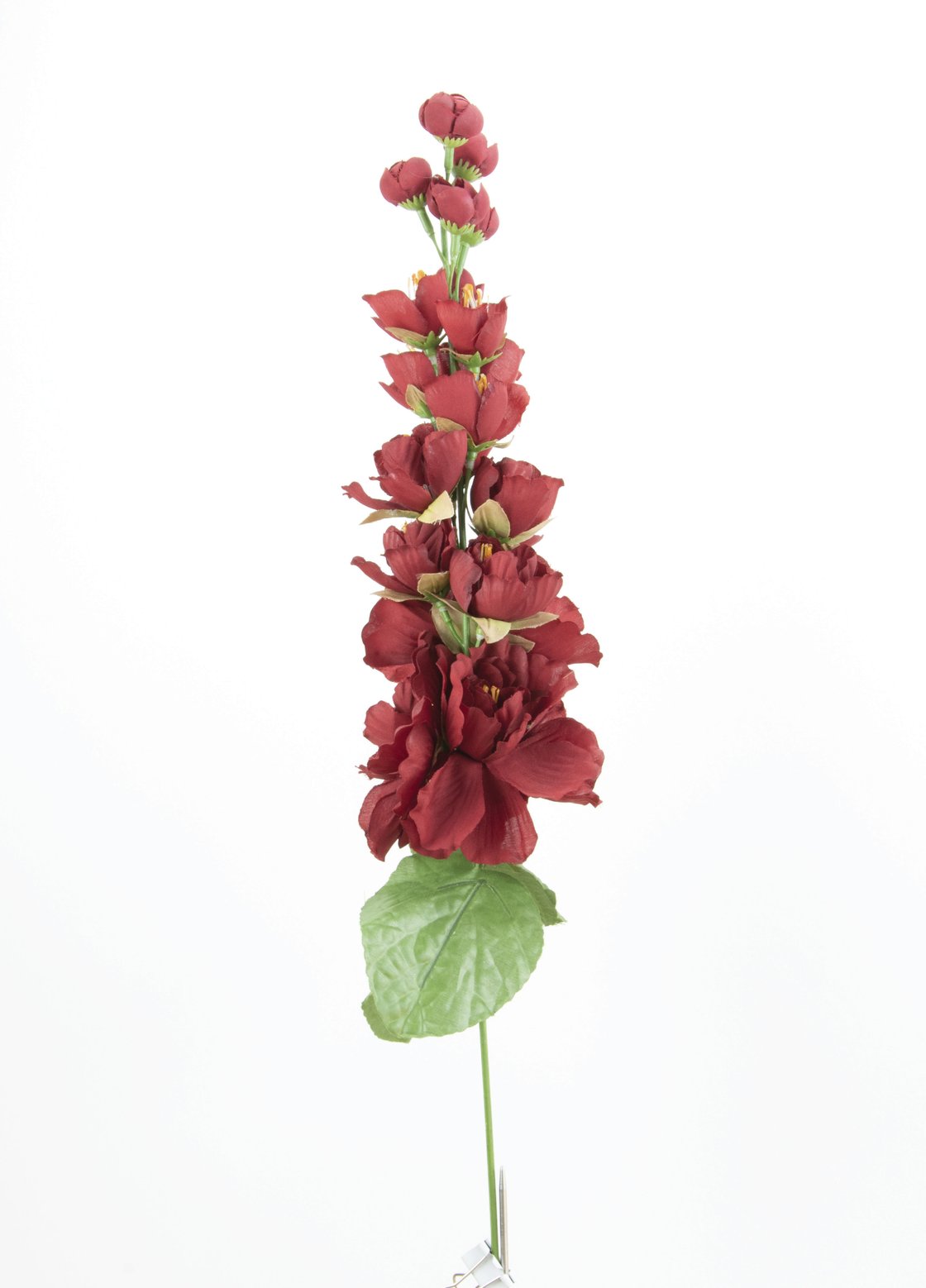 Image of Artificial Greenhouse | primordial flower 06