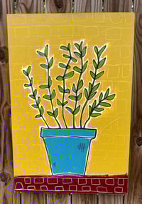 Image 1 of Money Plant
