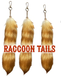 Image 1 of 10 inch real American raccoon tail fur light brown