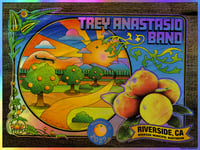 Image 2 of Trey Anastasio Band • Riverside 2022 • 18x24