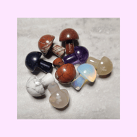 Image 1 of Mystery Mini Mushroom