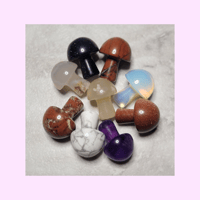 Image 2 of Mystery Mini Mushroom