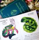  A Pocket Field Guide to Botanical Dragons - Volume 2