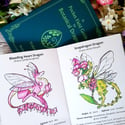  A Pocket Field Guide to Botanical Dragons - Volume 2