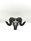The Ram