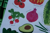Image 3 of Market Poster: Salad