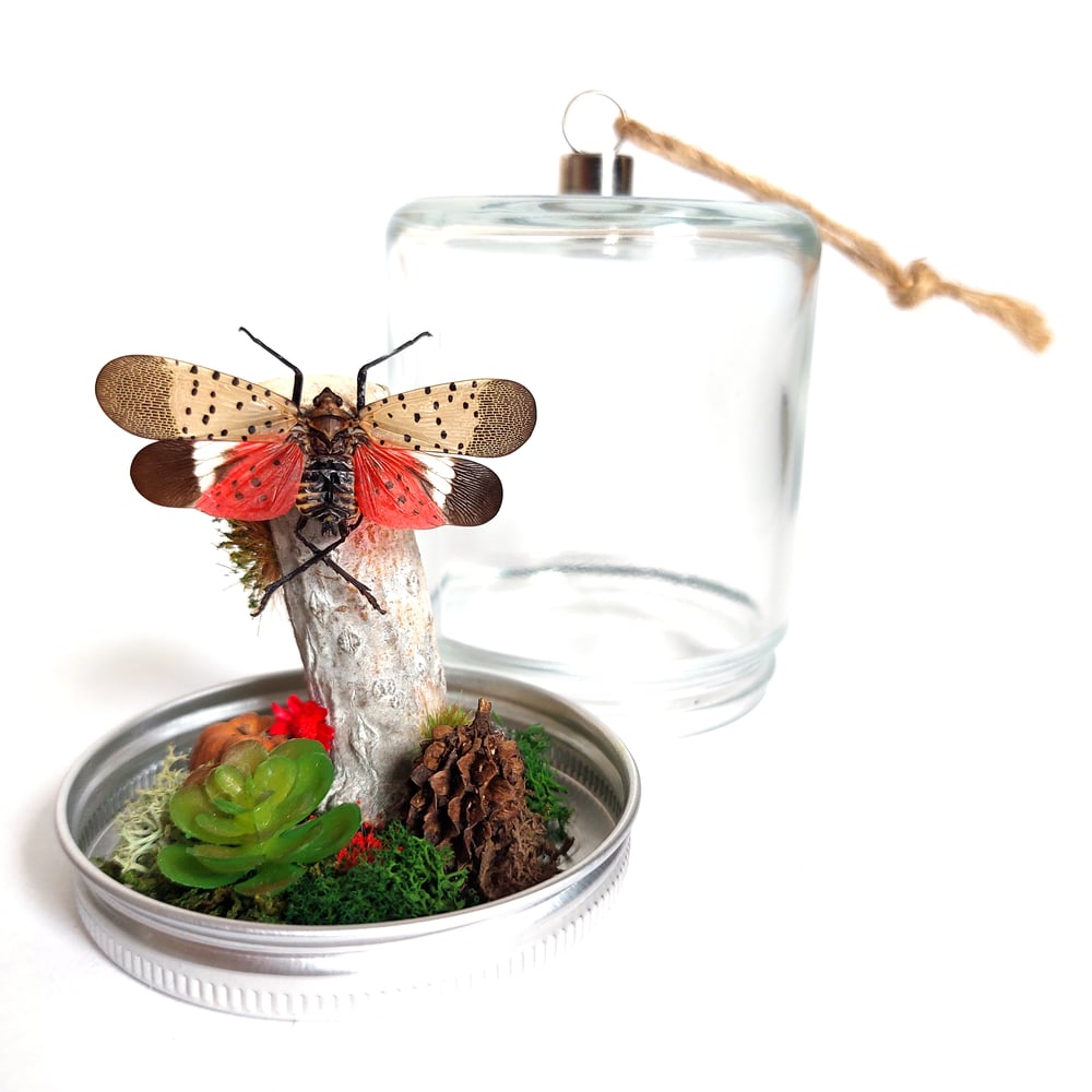 Image of Spotted Lanternfly Woodland Hanging Mason Jar
