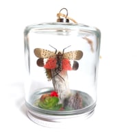 Image 3 of Spotted Lanternfly Woodland Hanging Mason Jar