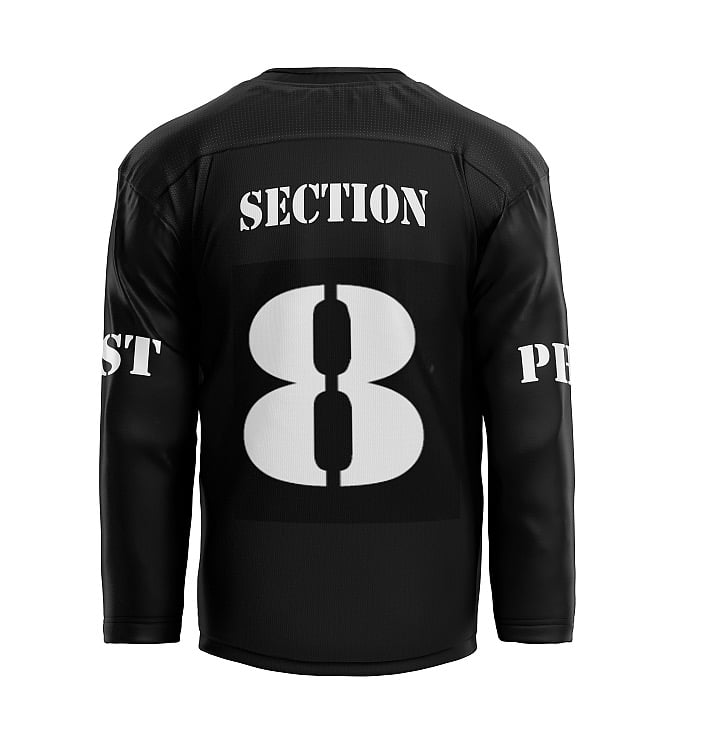 Image of SECTION 8