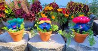 Image 5 of Oddish, Gloom and Vileplume in a pot